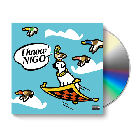 I Know Nigo KAWS Vinyl